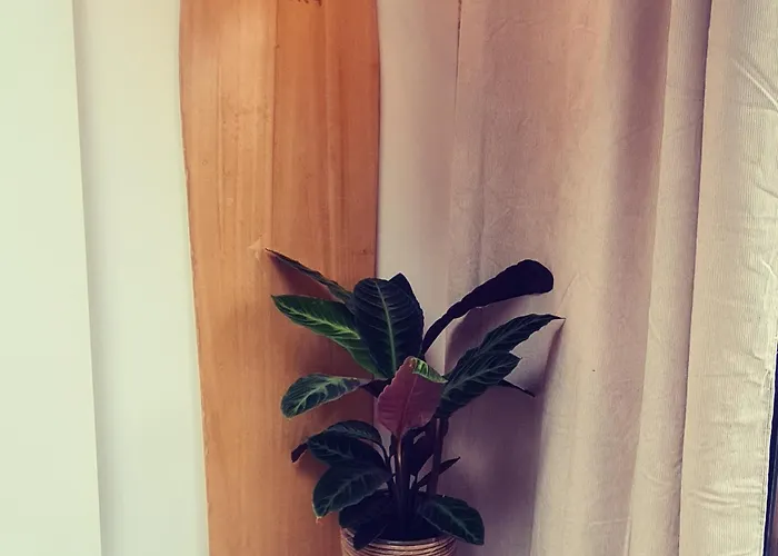 Appartement Beachbreak Noordwijk